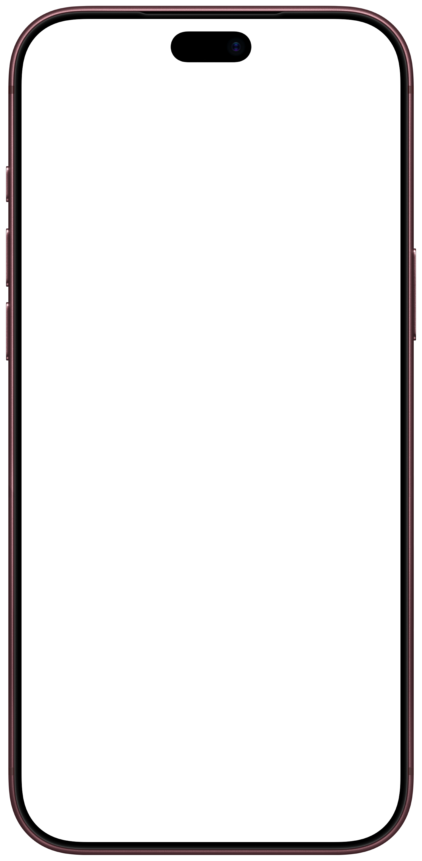 iPhone frame